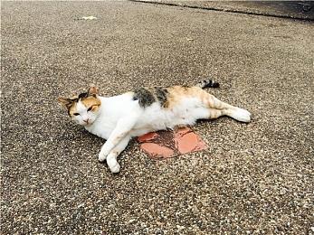 《毁灭全人类2：重新探测》新预告 外星怪物种族登场