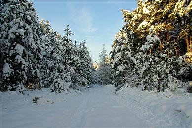 《糖豆人》玩家数突破5000万 官方感到惊讶